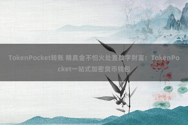 TokenPocket转账 精真金不怕火处置数字财富：TokenPocket一站式加密货币钱包