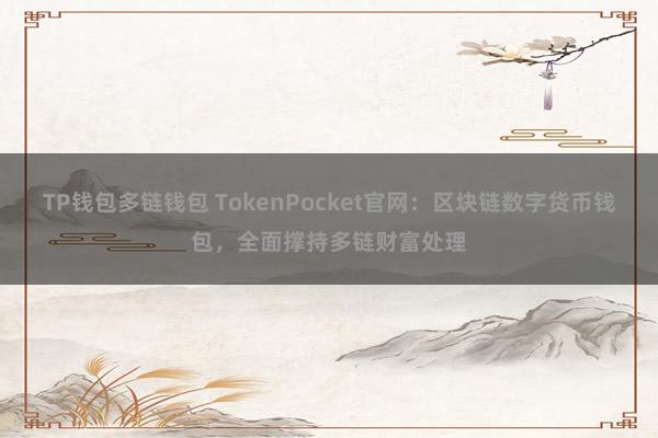 TP钱包多链钱包 TokenPocket官网：区块链数字货币钱包，全面撑持多链财富处理